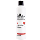 BLESS SHAMPOO KERATIN SULFATE FREE 500 ML
