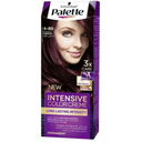 PALETTE COLOR CREAM 4-89 باذنجانى مكثف