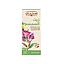 IMT. SESAME OIL 100 ML