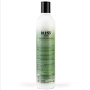 BLESS CONDITIONER ARGAN OIL 500ML
