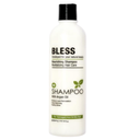 BLESS SHAMPOO WITH ARGAN OIL 300ML